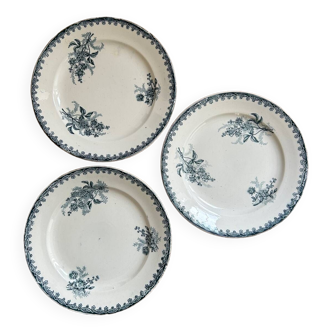 Series of 3 old flat plates “Terre de Fer”