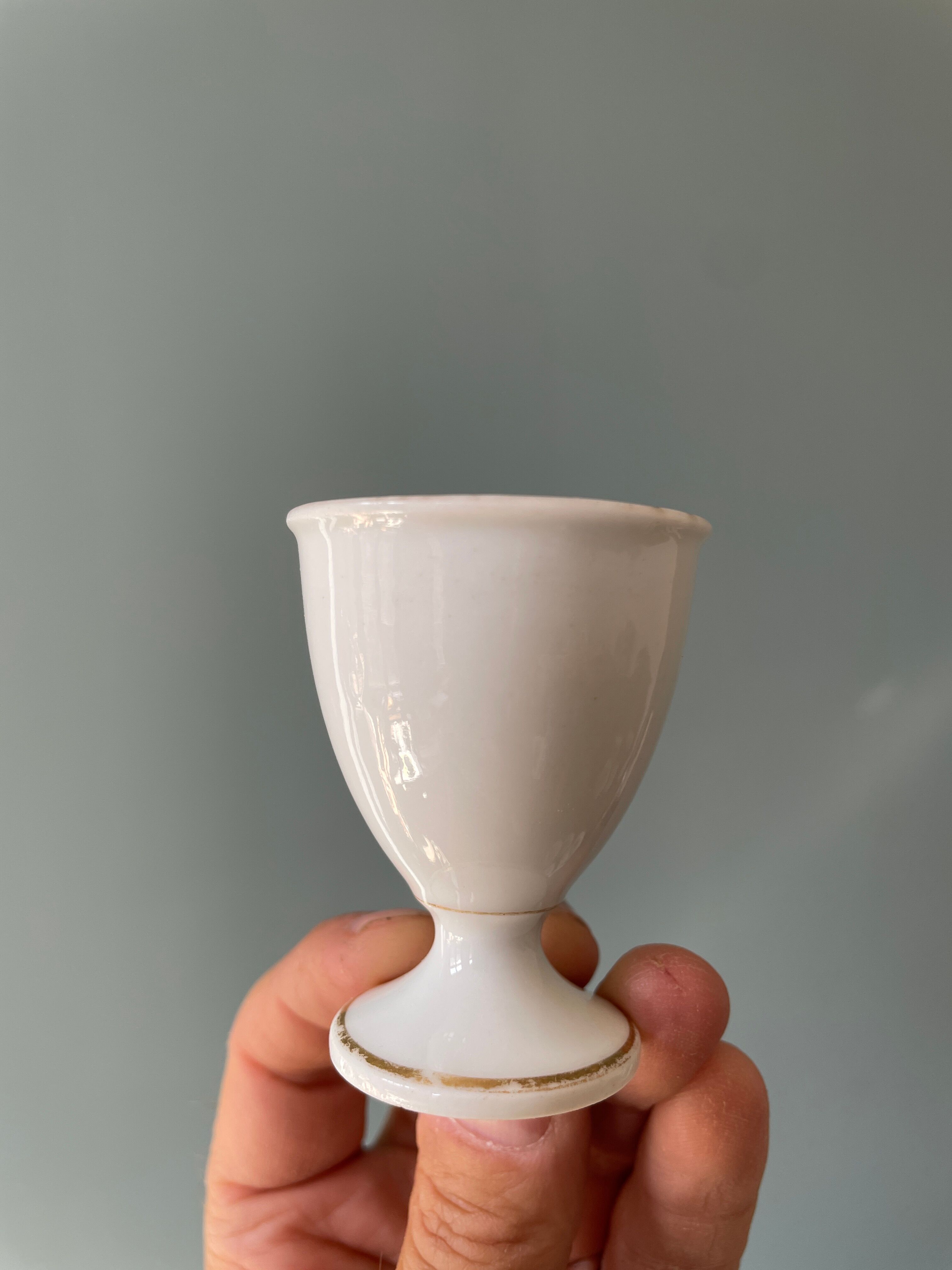 Set of 13 old standing cockroaches