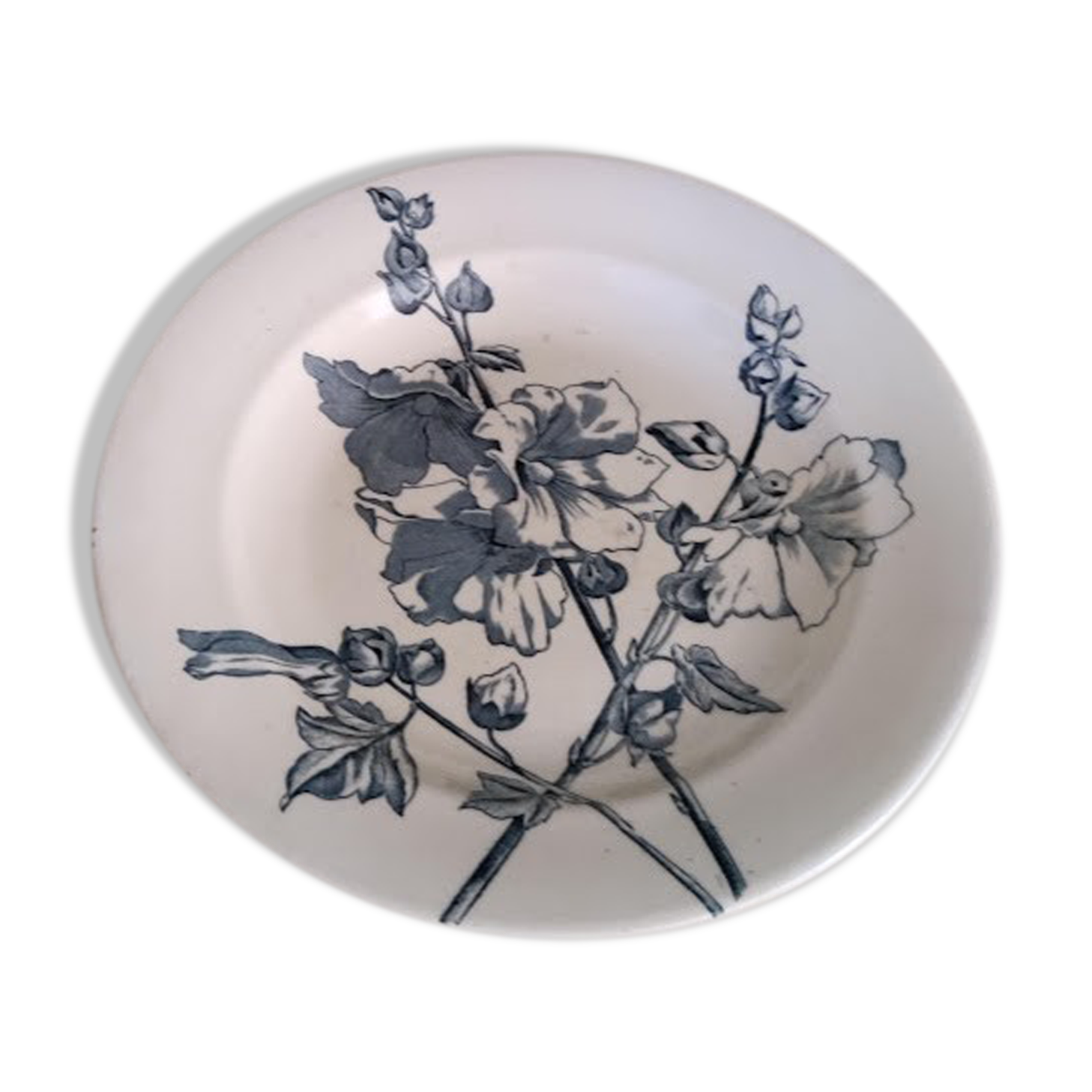 Plate pr trèmières