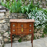 Small jump cabinet in precious wood marquetry.