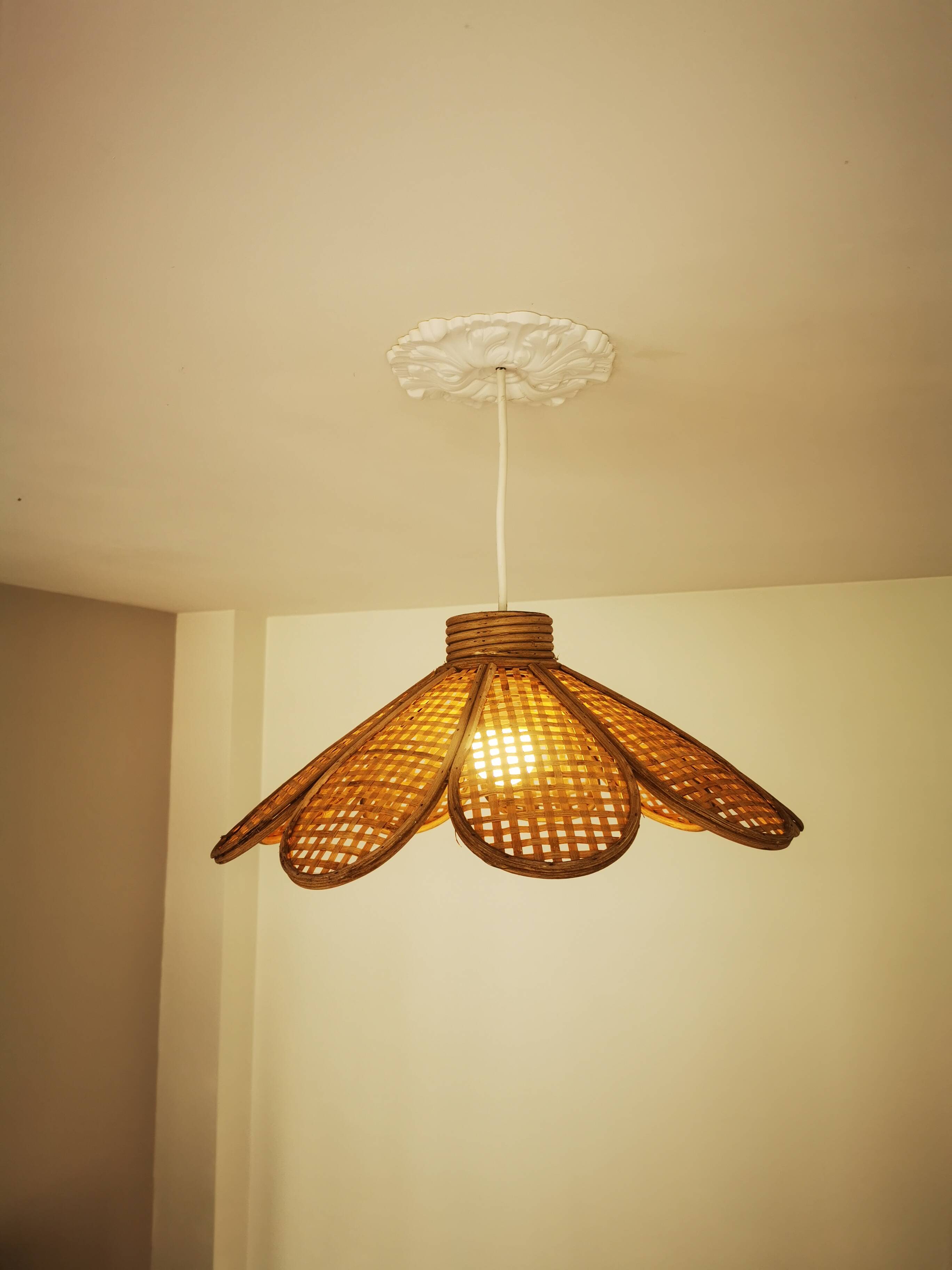 Bamboo rattan suspension and canning