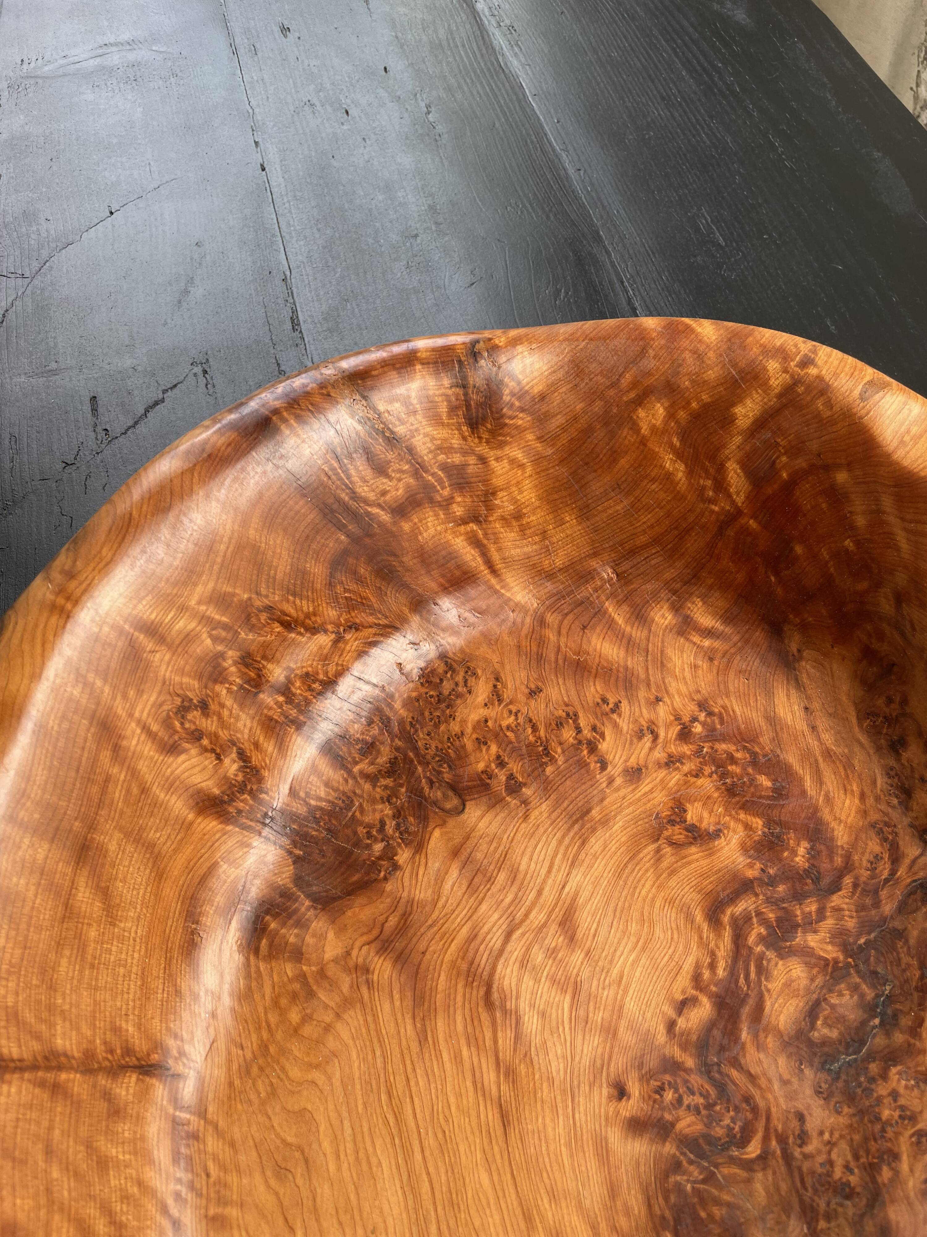 XL thuja root wooden dish