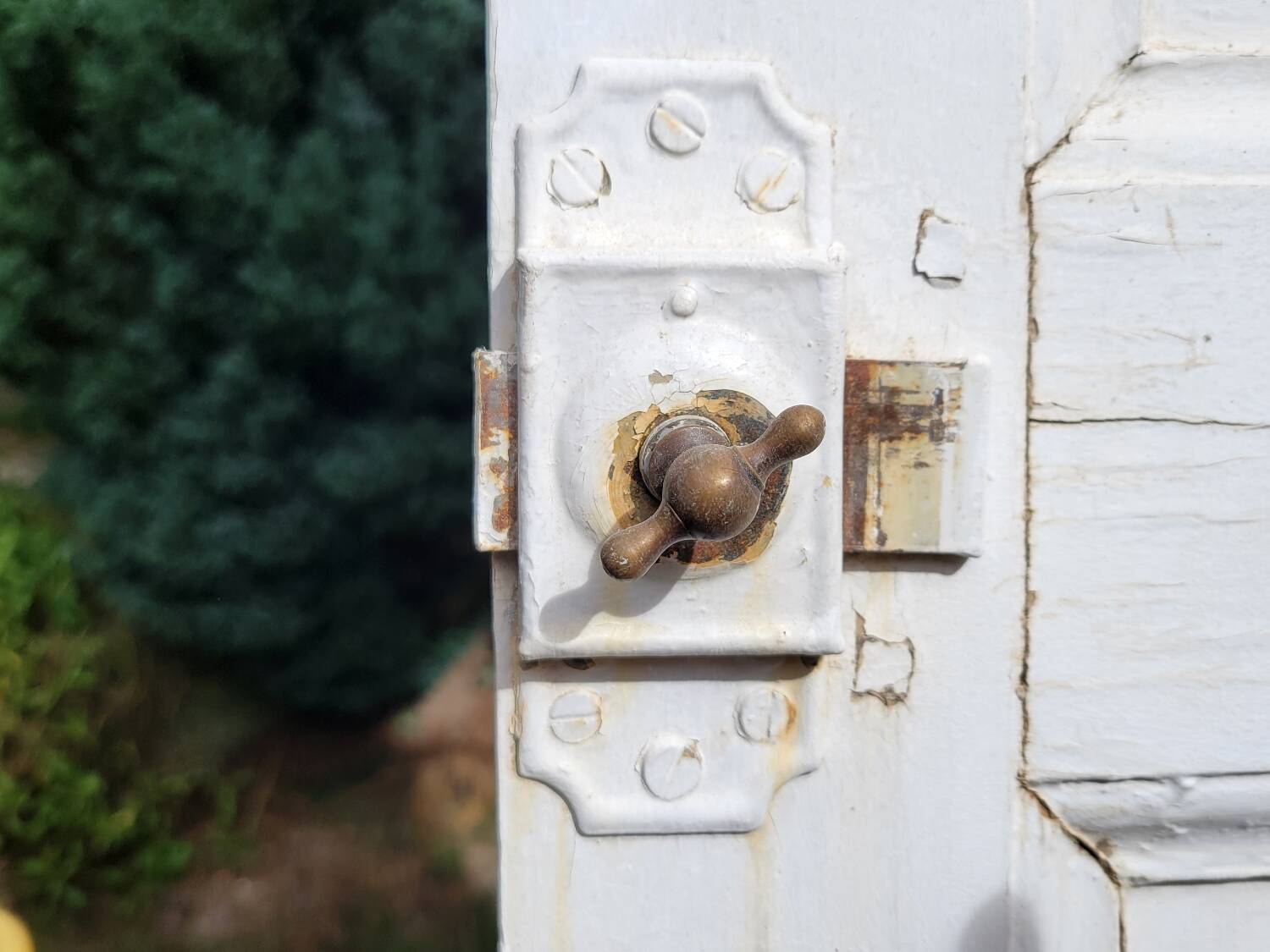 Antique wall cupboard door circa 1900 228x60.5 cm