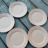 Digoin pink dessert plates