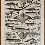 Set of lithographs XXth century