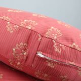 Antique Carved Sofa with Cane Sides , Czechoslovakia