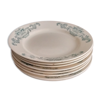 Flat plates