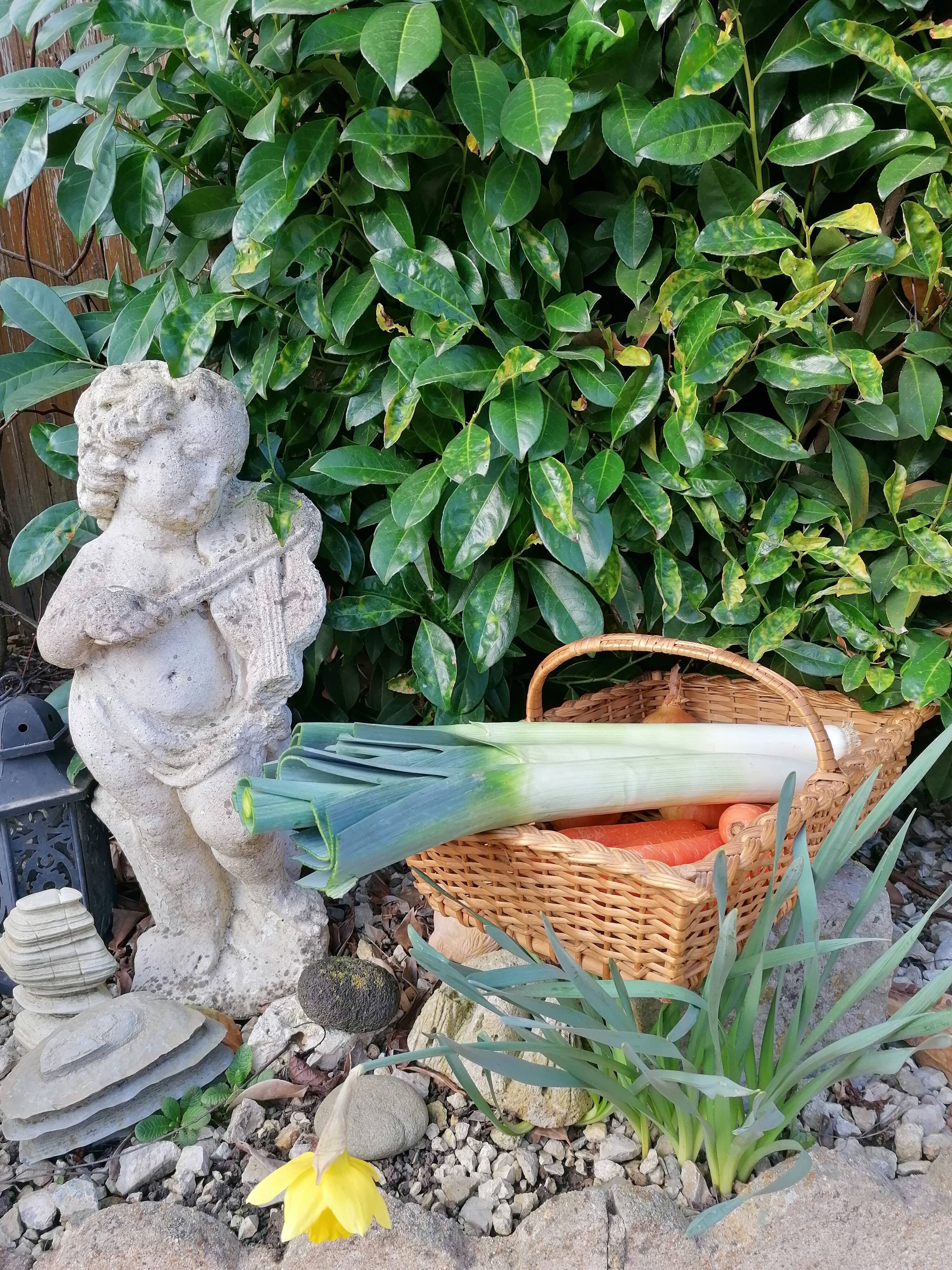 Picking rattan basket