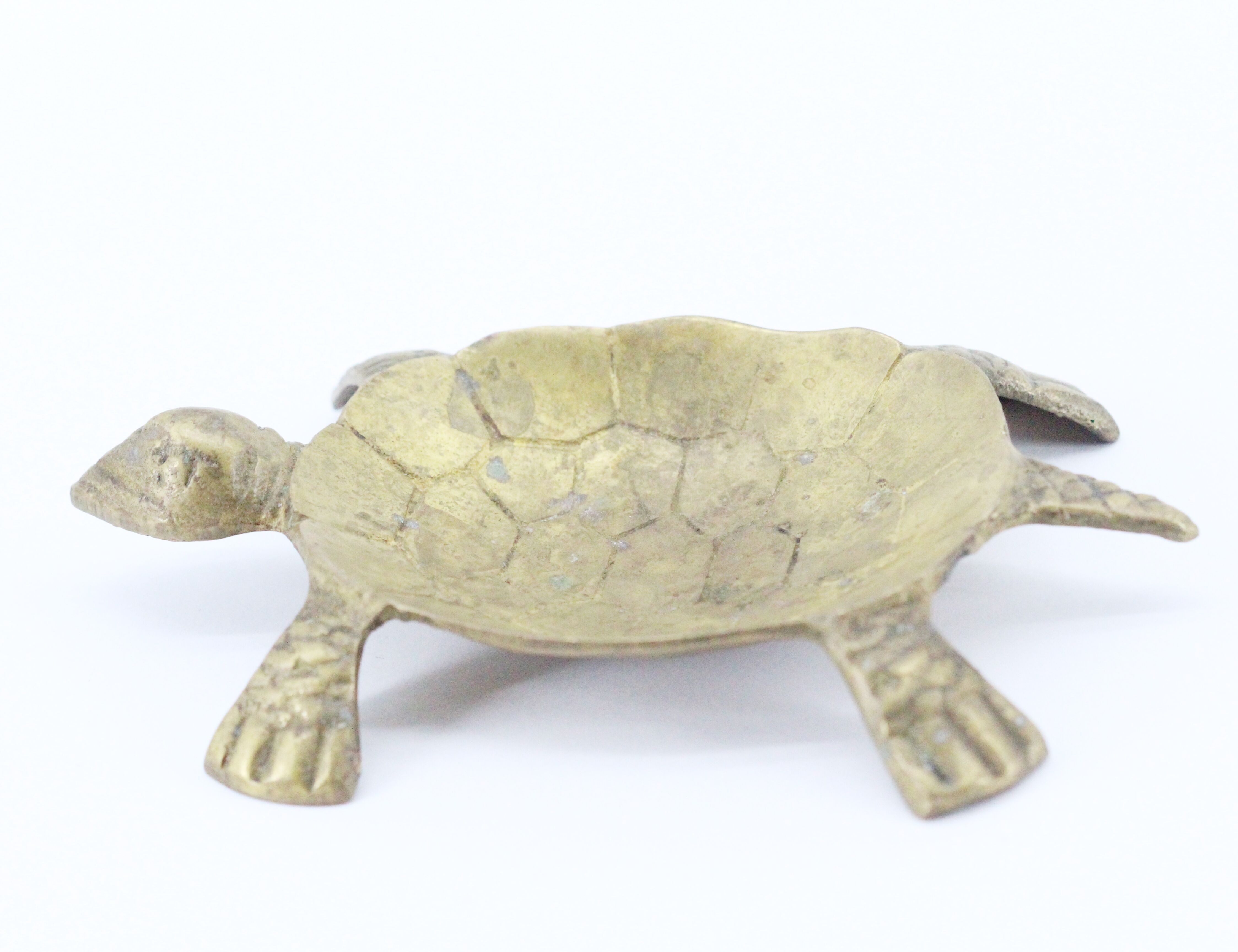 Empty brass turtle pocket