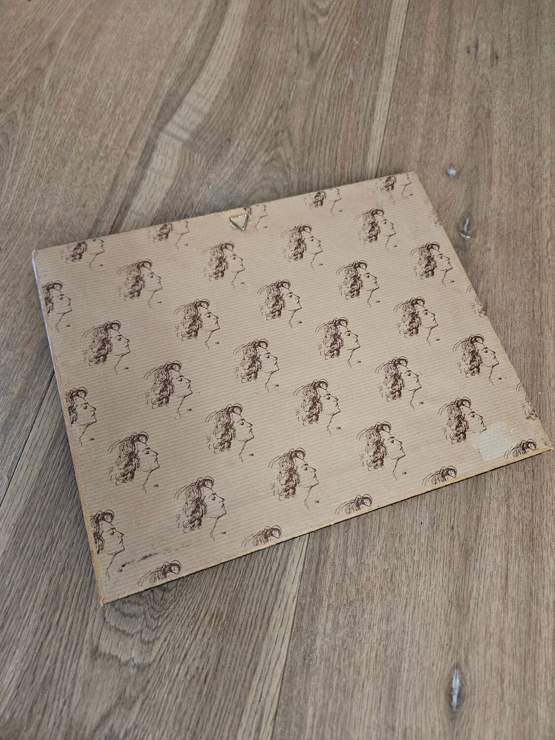 Plum tree botanical board under wooden frame