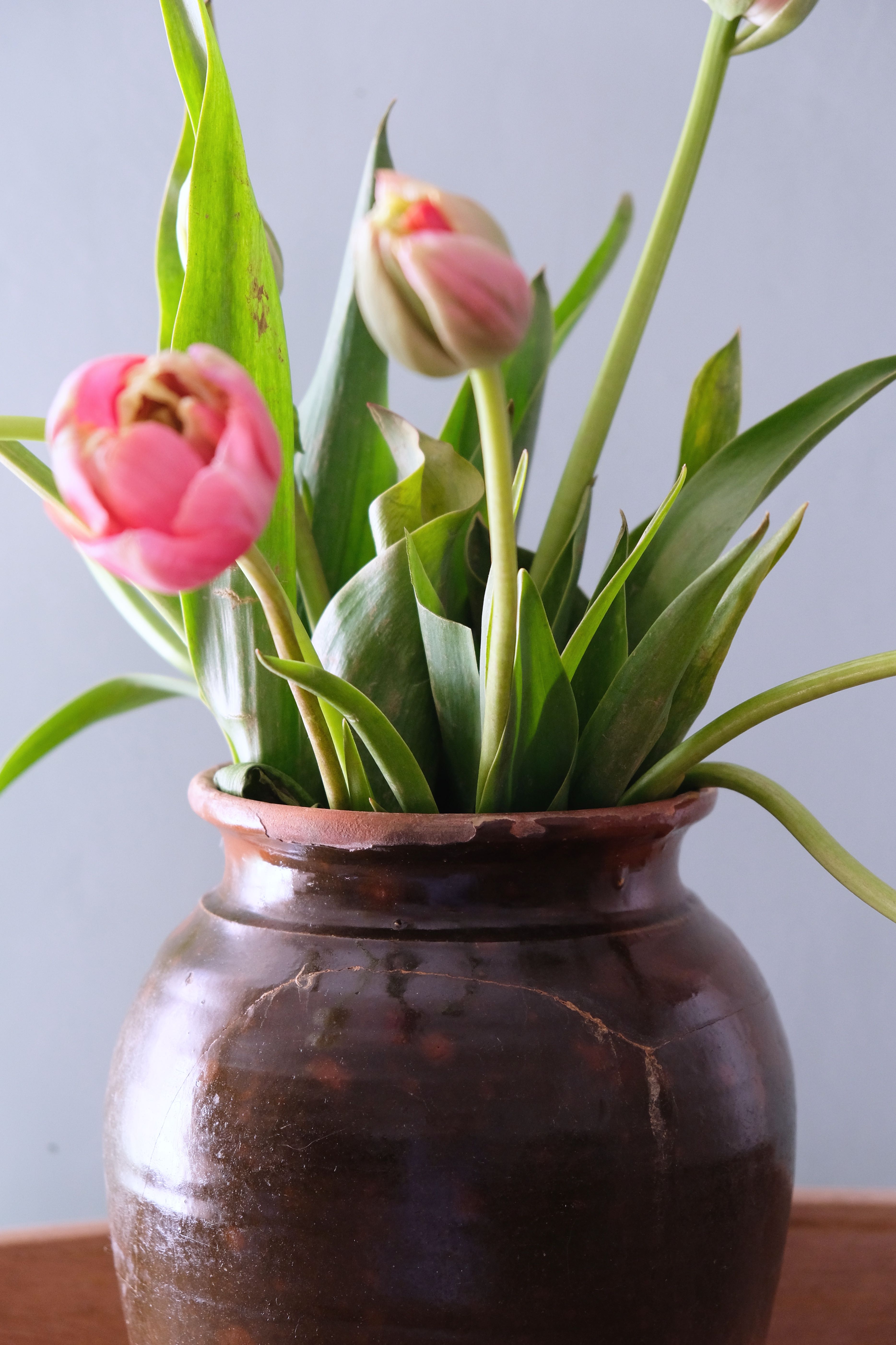 Old glazed terracotta pot