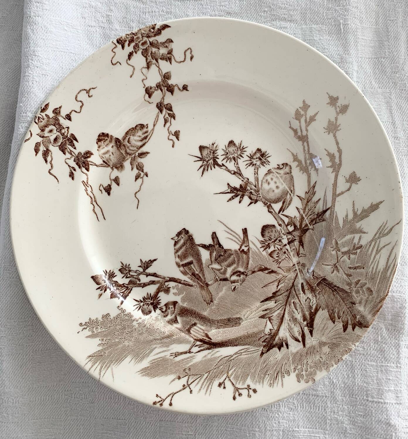 Dessert plates creil et montereau service chardonneret