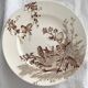 Dessert plates creil et montereau service chardonneret
