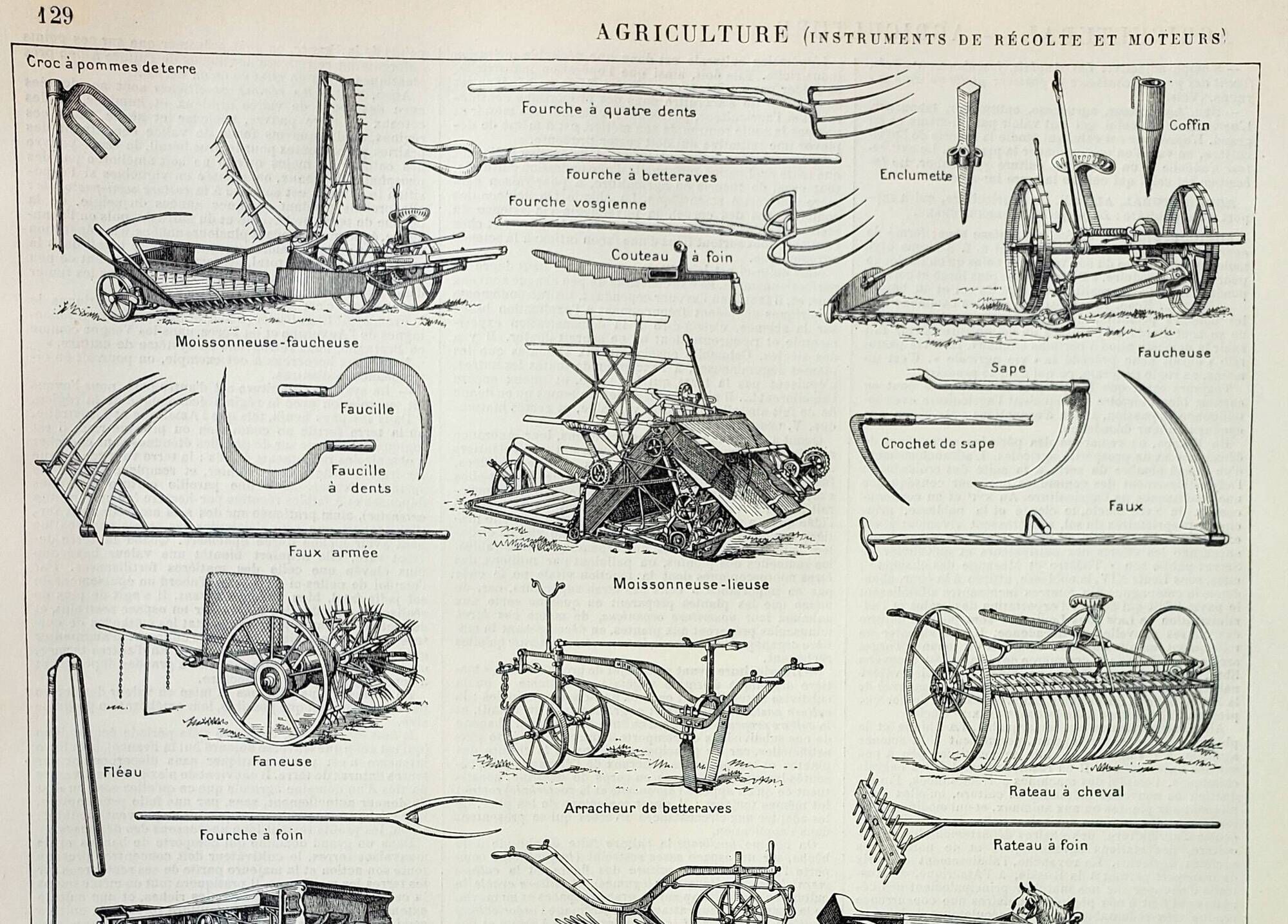 Old engraving 1898, Agriculture (harvest), farm, tools • Original and vintage lithograph