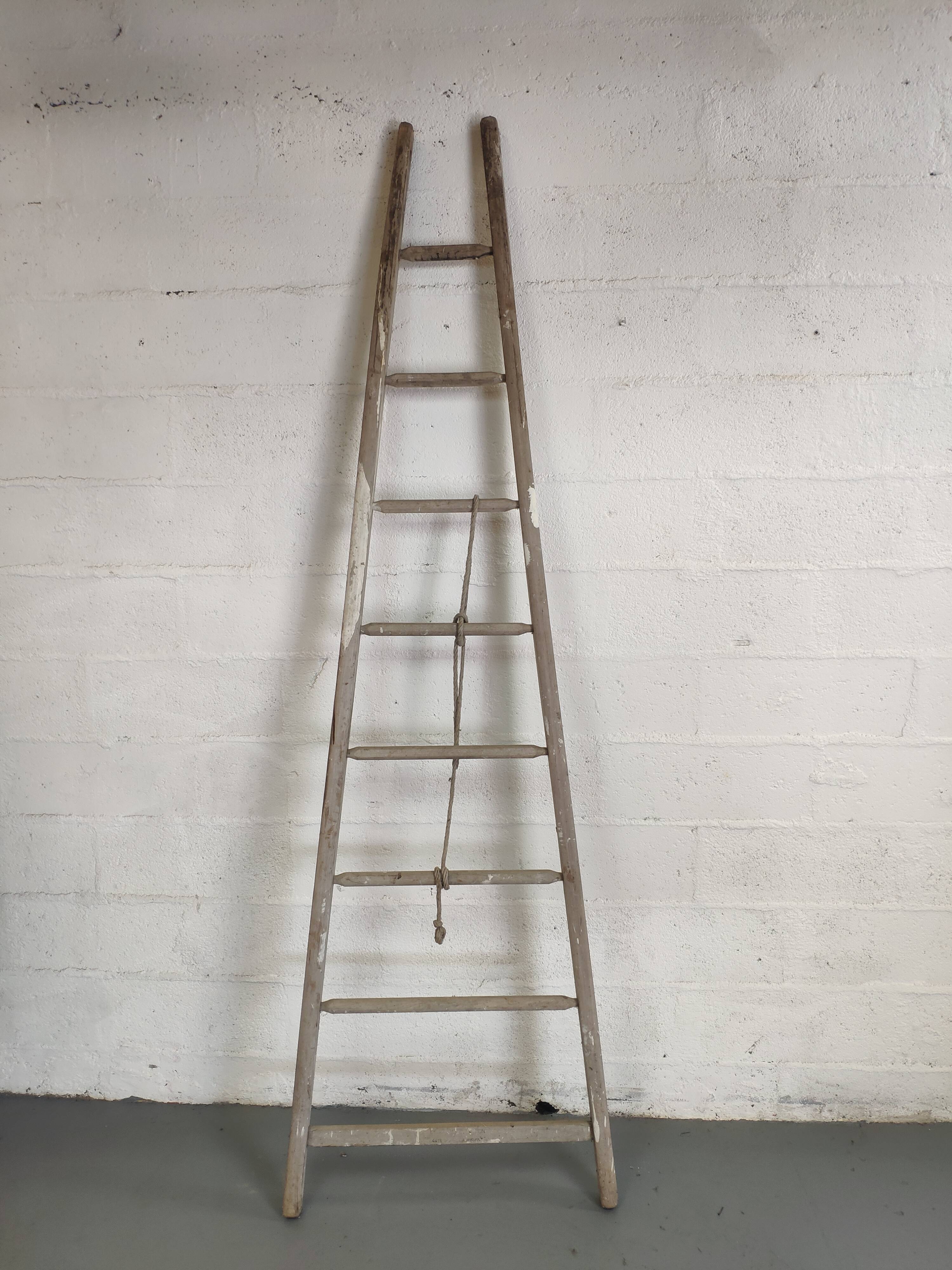 Échelle de fruitier ancienne 2.40m