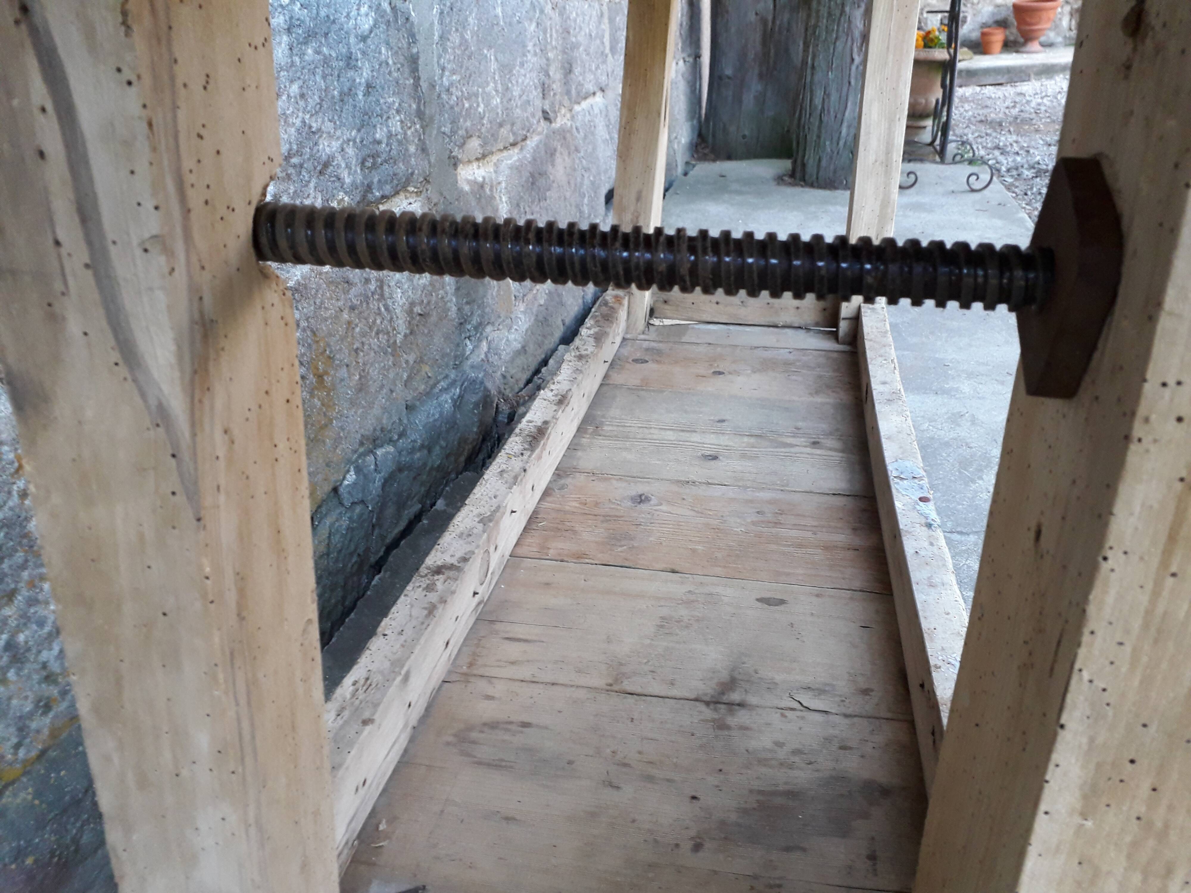 Old established 166 cm