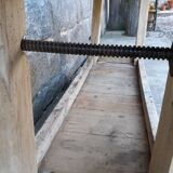 Old established 166 cm