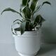 Cache pot en porcelaine blanche