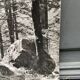 Silver gelatin photograph by Bernard Darot, Undergrowth and rocks, 20th century