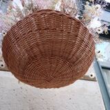 Luminous floral suspension