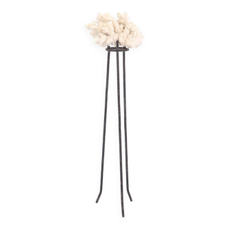 Coral on metal tripod base, 1950s