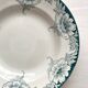 6 Suzanne, Saint Amand and Hamage ironstone soup plates