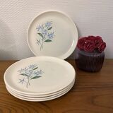 Set of 5 flat plates Sovirel
