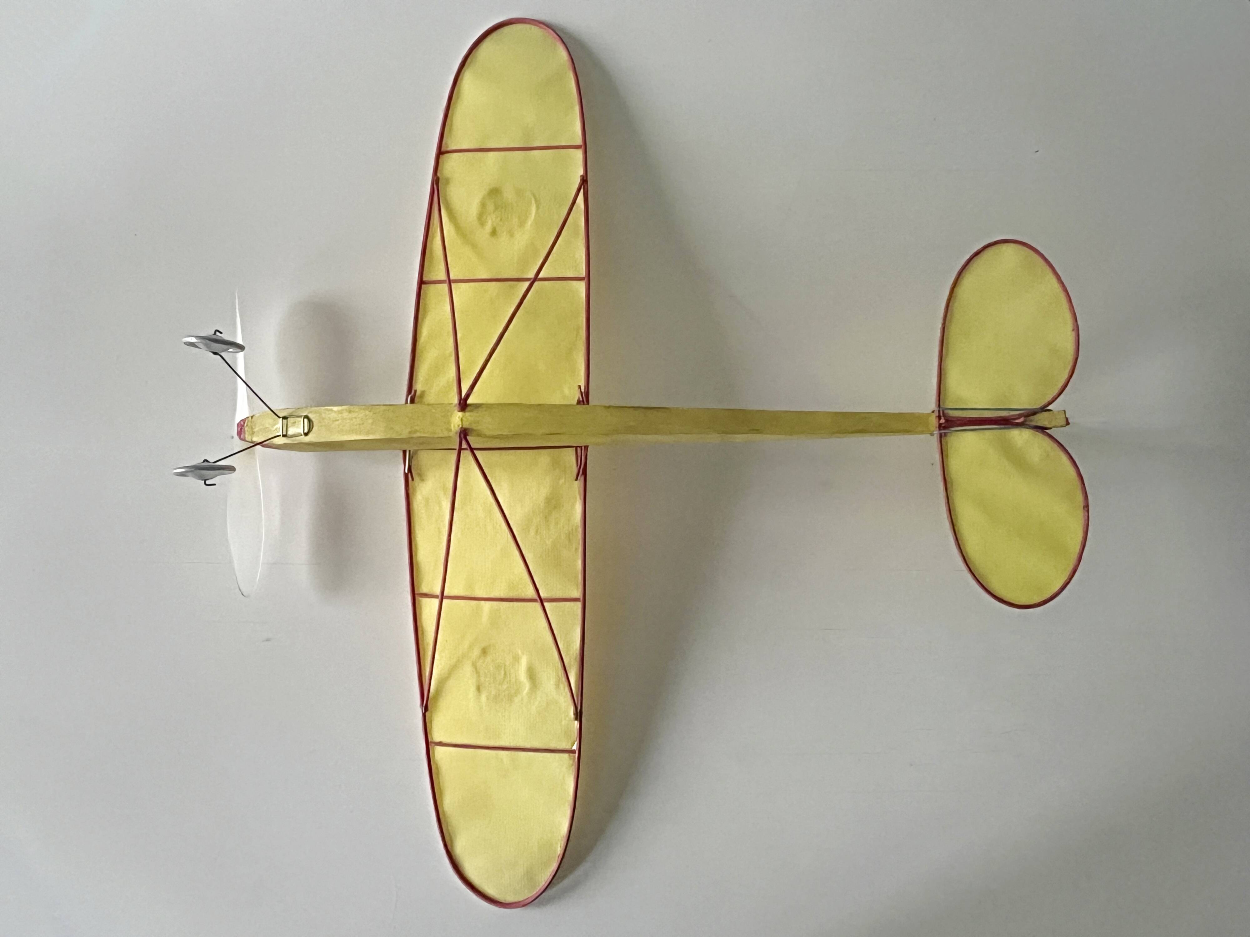 The French Plane, "Condor" model, Unmanned aircraft, Unis France