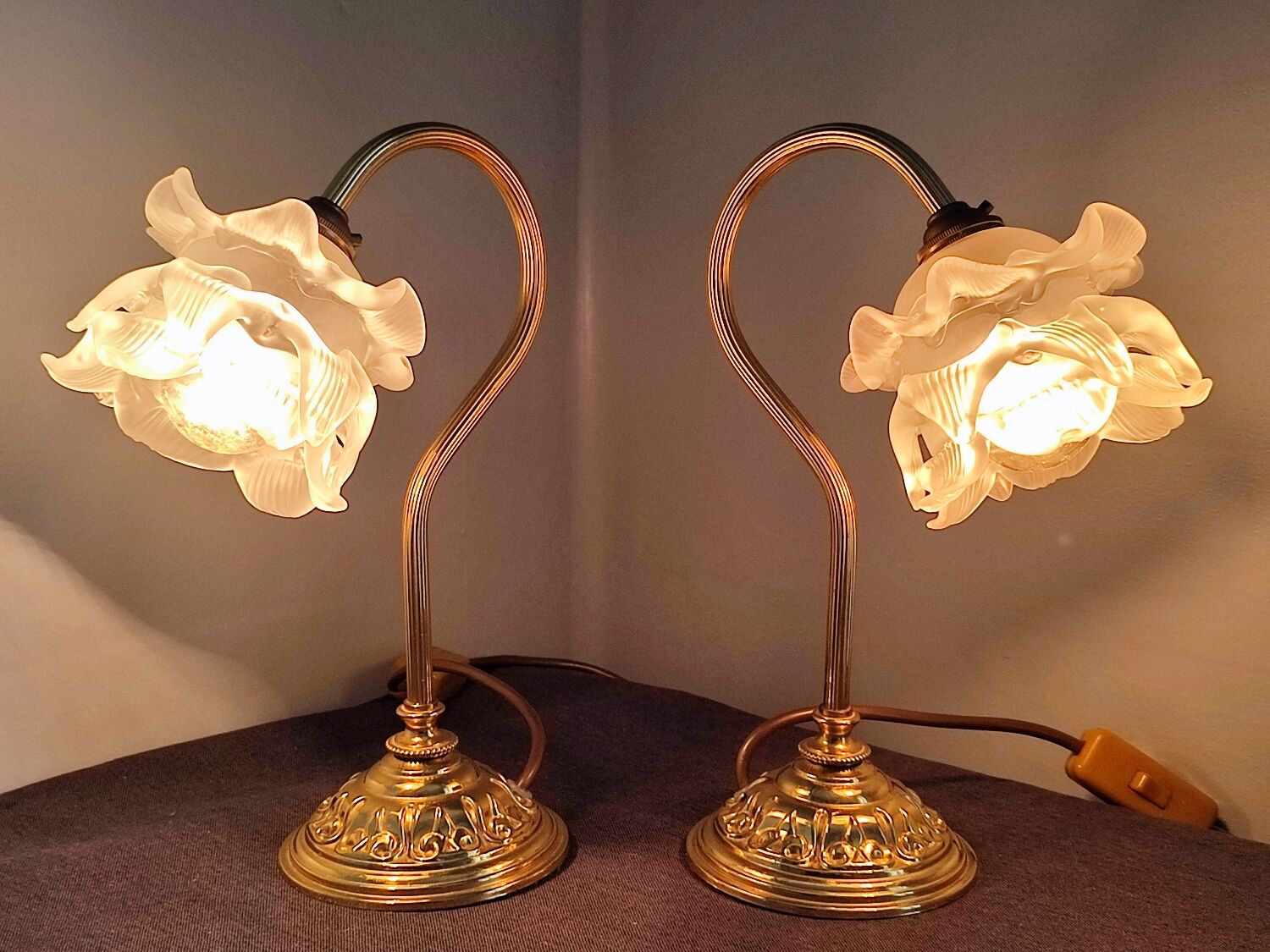 Pair of vintage gooseneck lamp