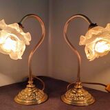 Pair of vintage gooseneck lamp