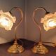 Paire de lampe col de cygne vintage