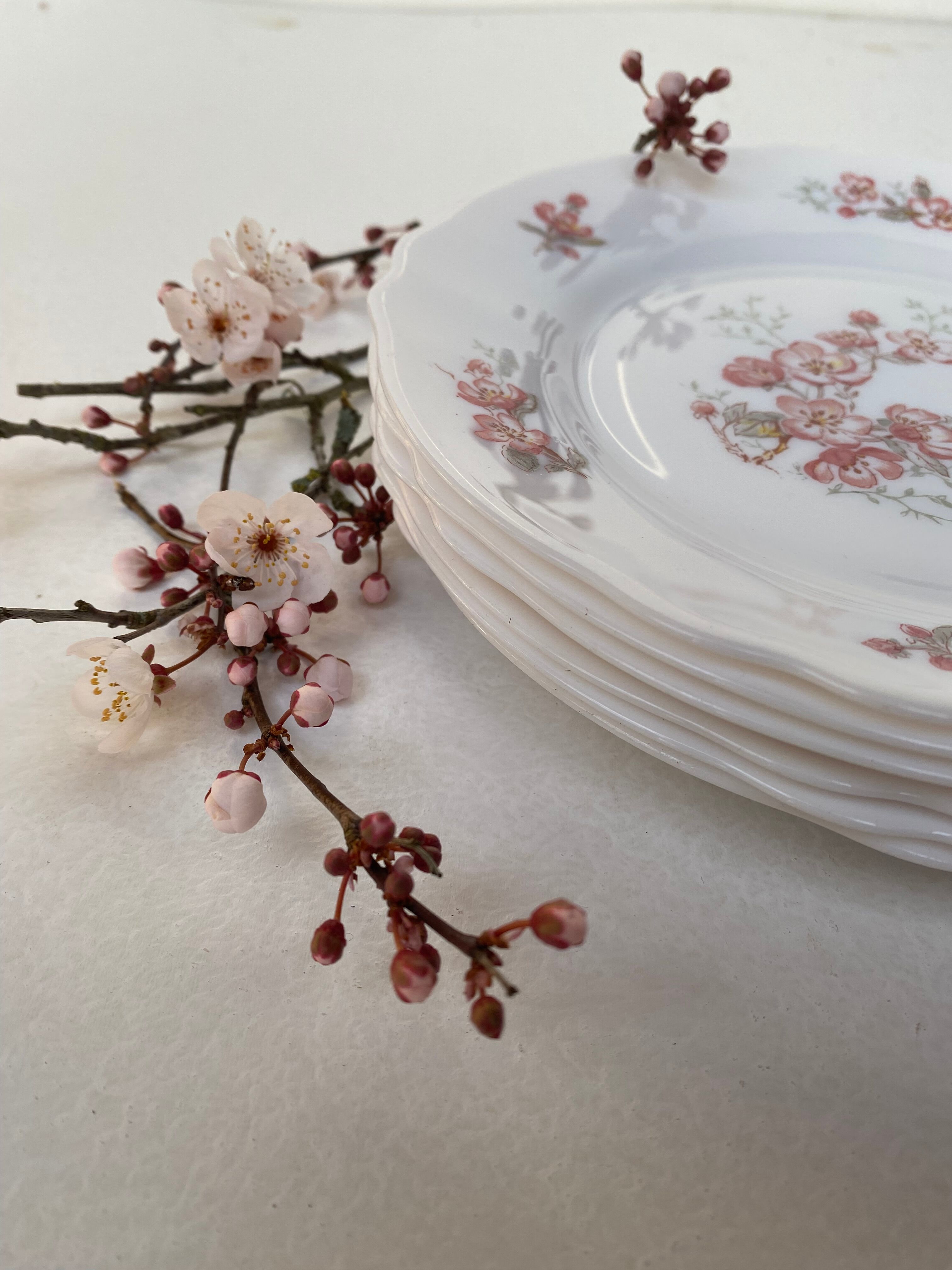 Vintage Arcopal dessert plates