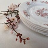 Vintage Arcopal dessert plates