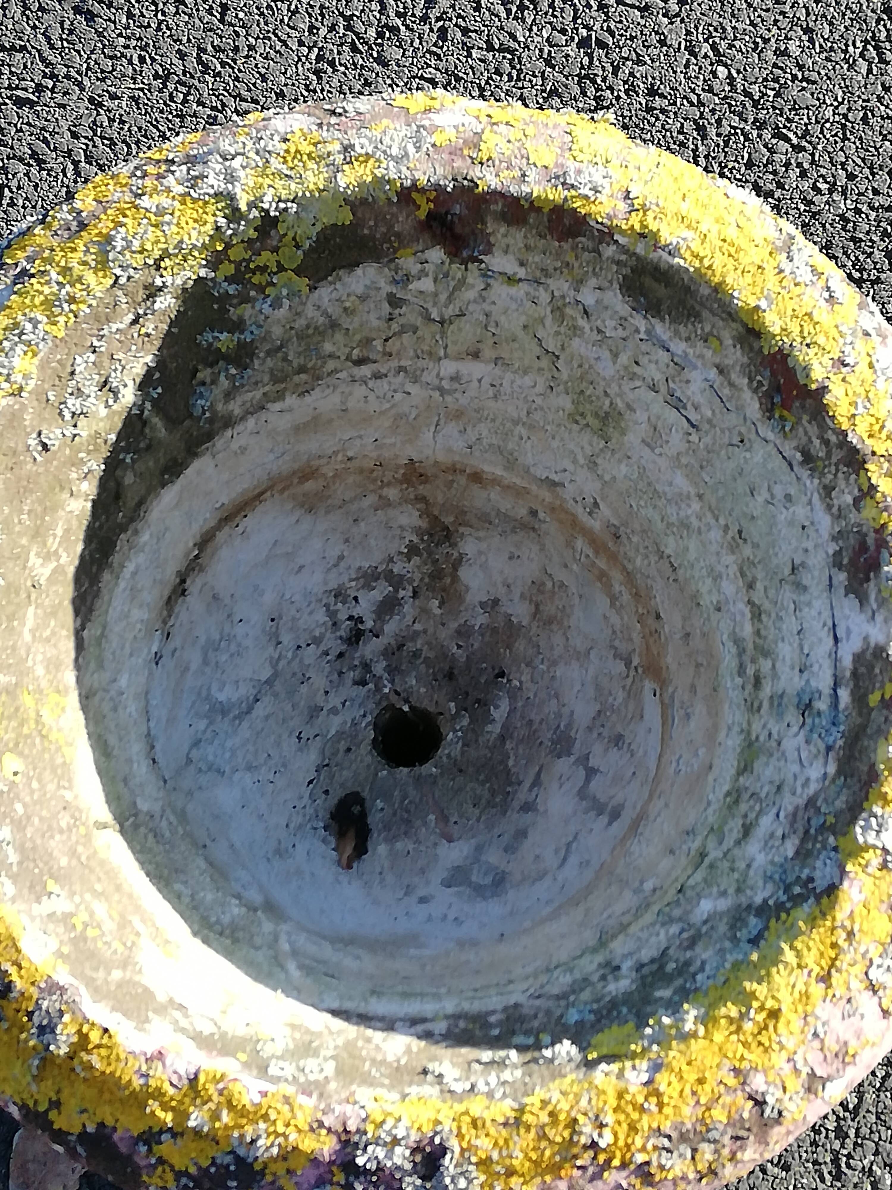 Ancient medicis vase