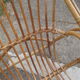 Rattan bench from the 1960s