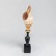 Sea snail shell Fasciolaria Trapezium on a turned wooden base
