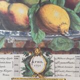 Ancient English botanical board of April 1732