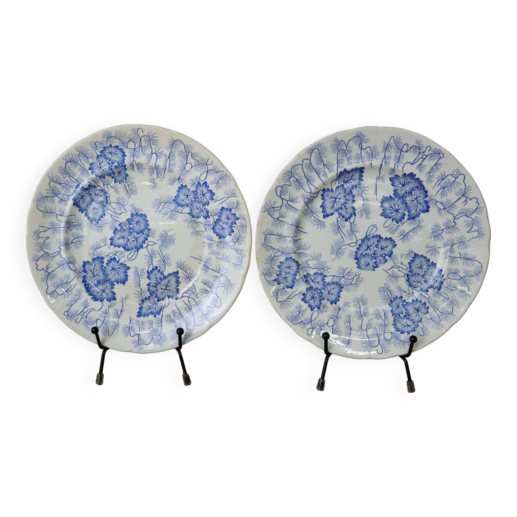 2 assiettes à dessert Terre de Fer modèle "Flora" Creil Montereau