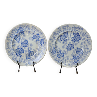 2 assiettes à dessert Terre de Fer modèle "Flora" Creil Montereau