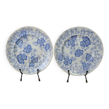 2 Terre de Fer dessert plates "Flora" model Creil Montereau