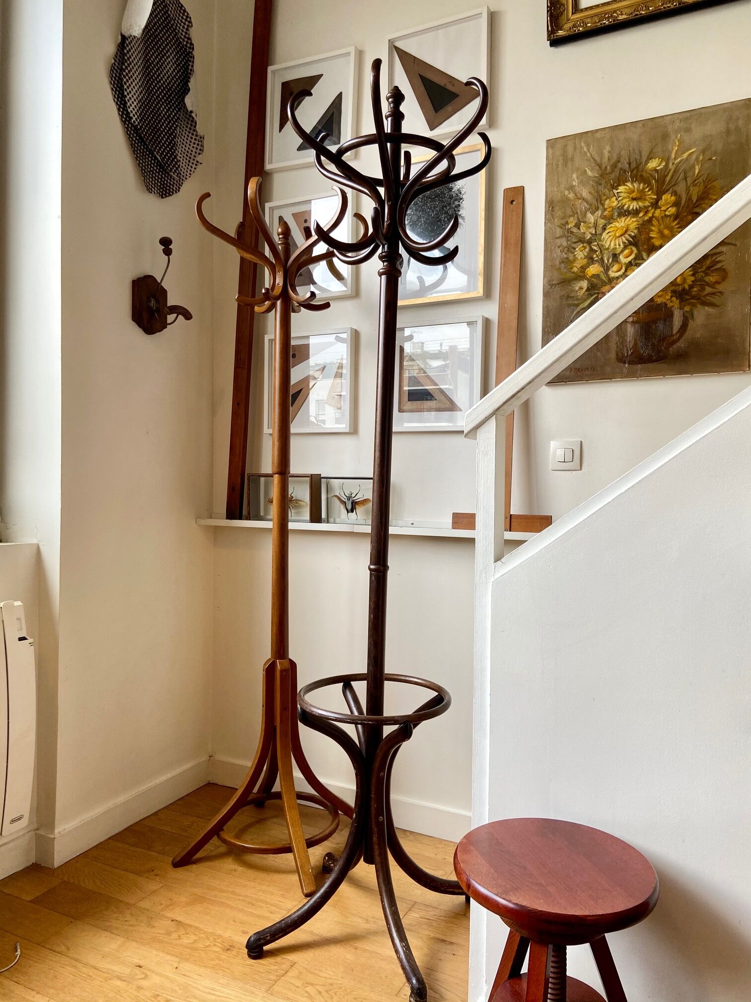 Light wooden parrot coat holder 6 patères