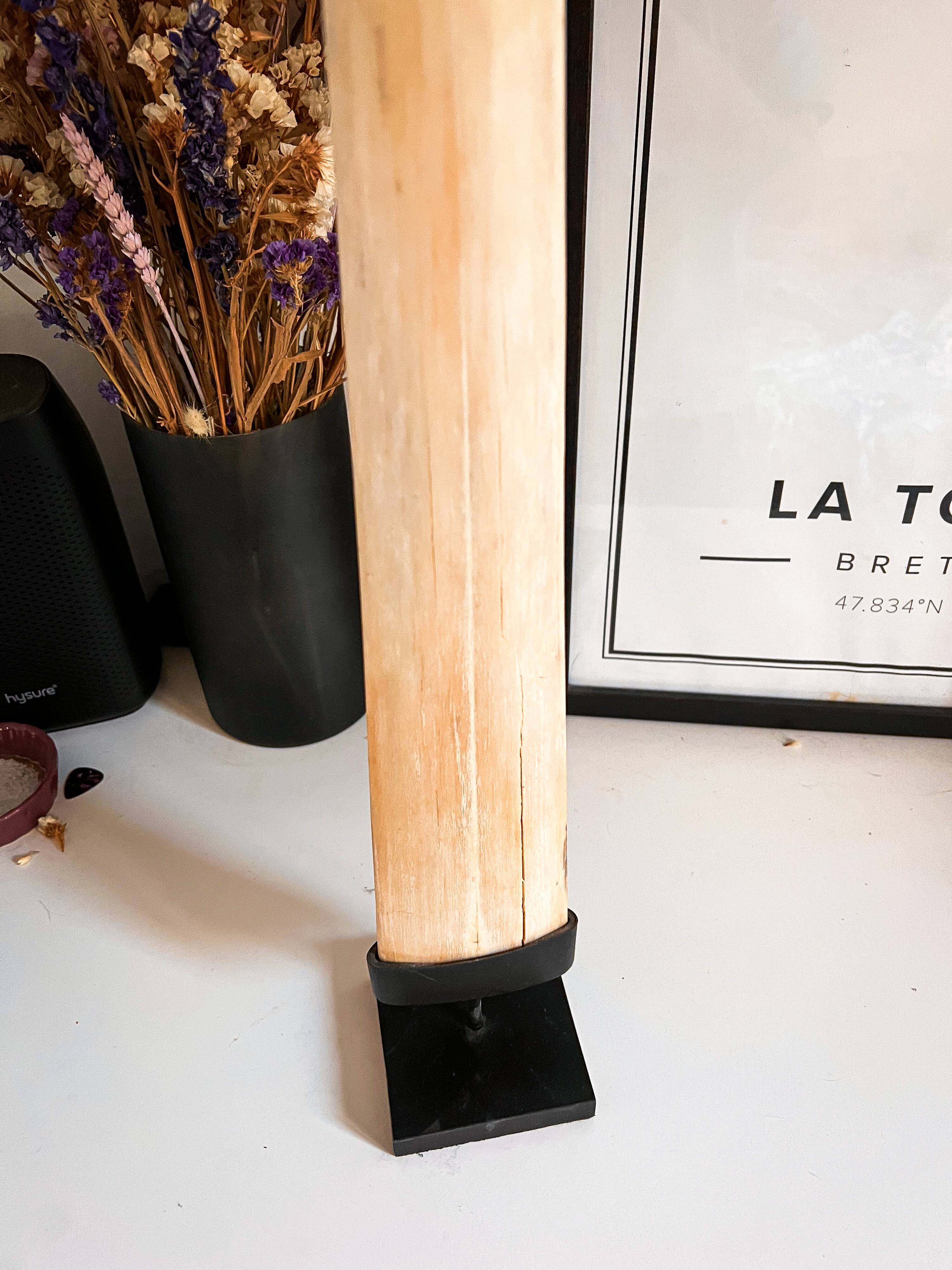 Swordfish tusk on base