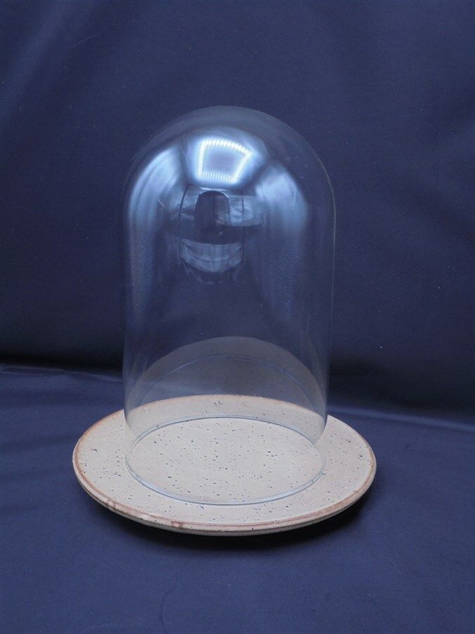 Cloche en verre sur assiette