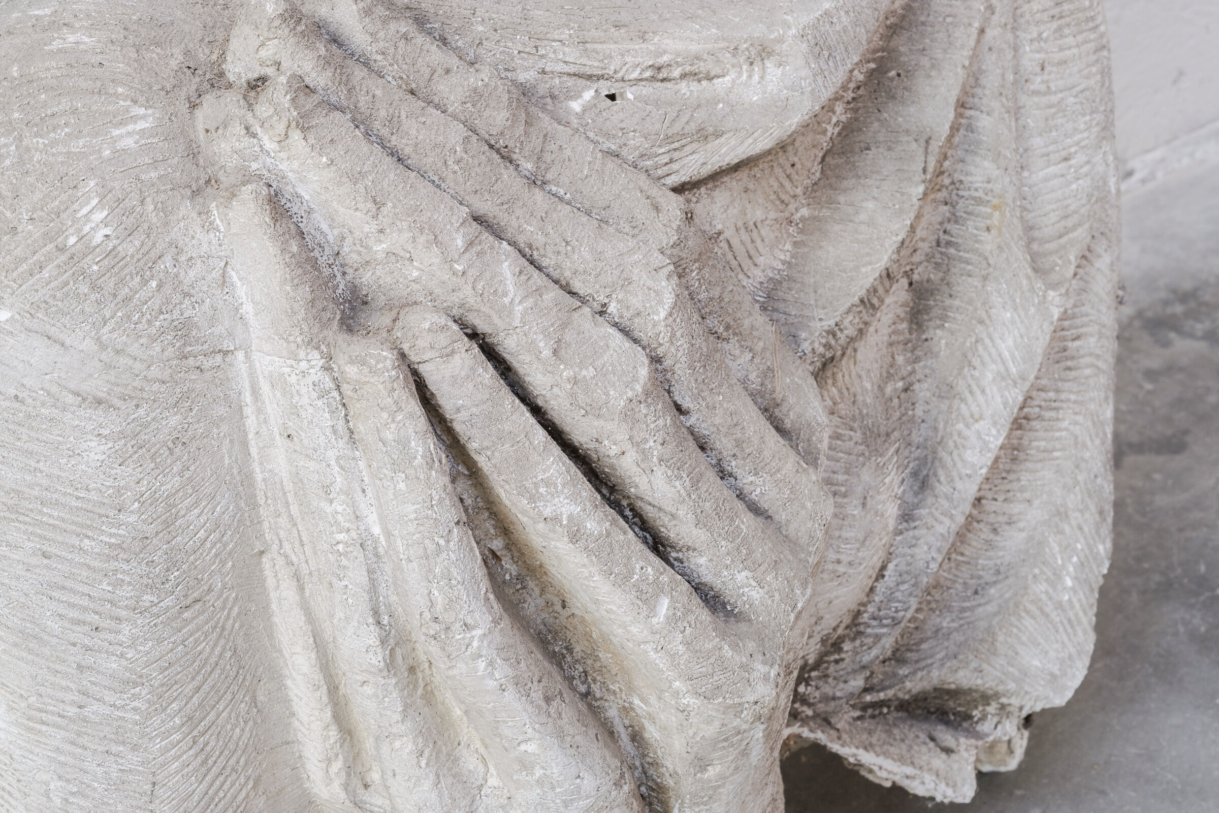 Northern giant plaster mold