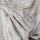 Northern giant plaster mold