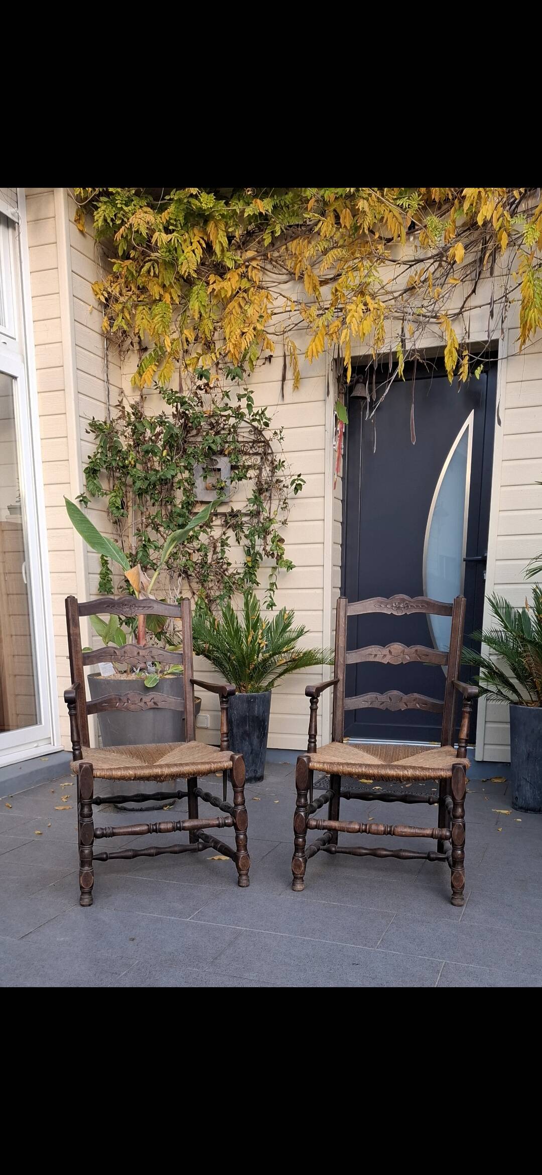 Paire de fauteuil campagnard