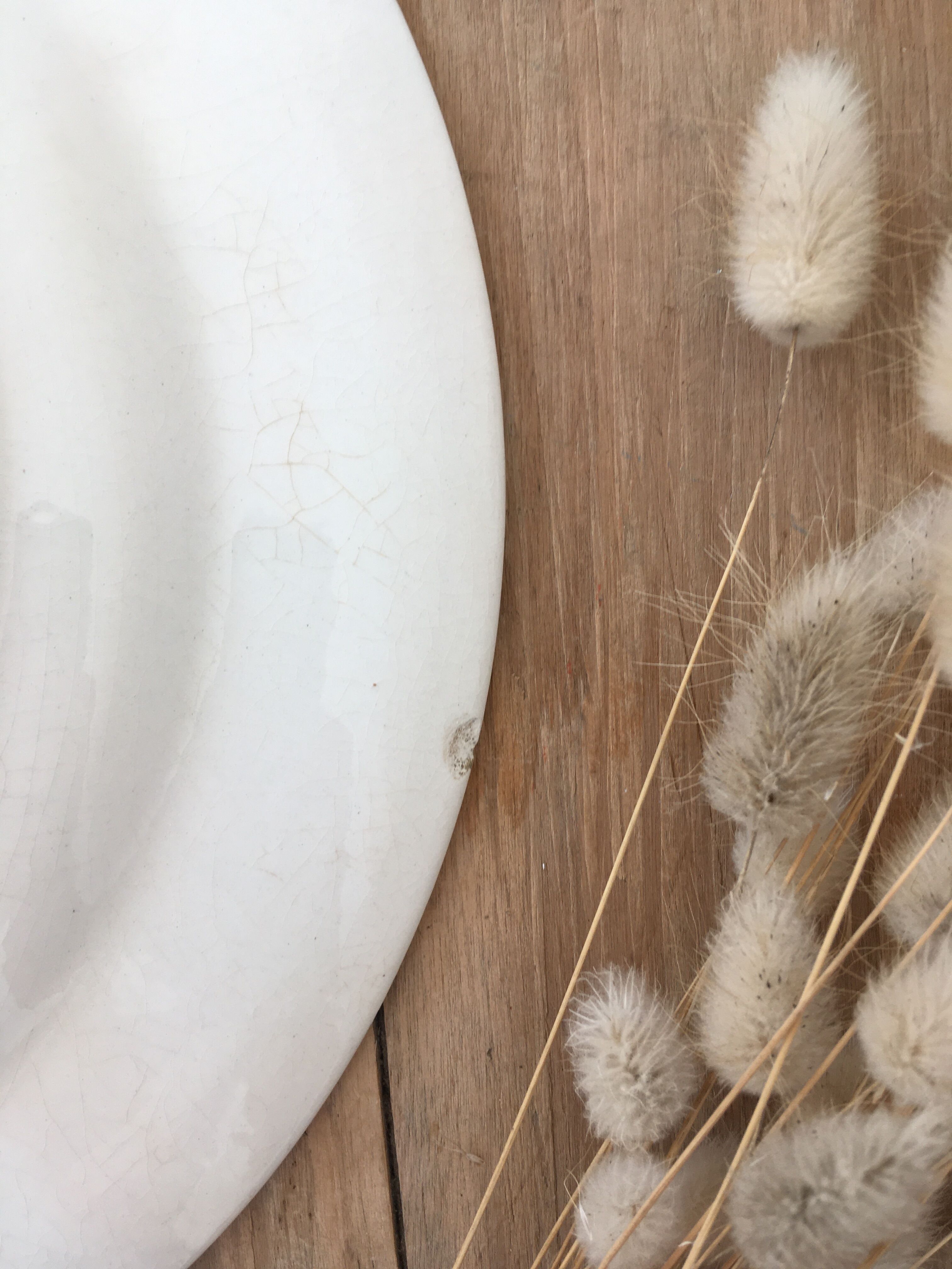 Pair of vintage plates "horses"