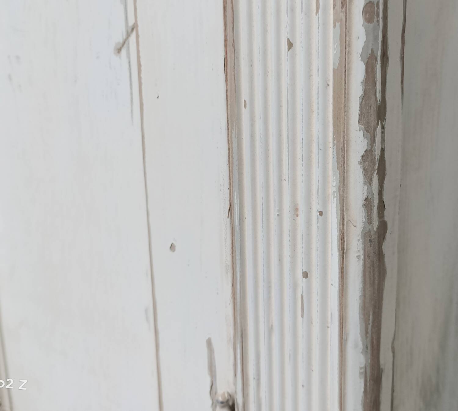 XXL Parisian wardrobe