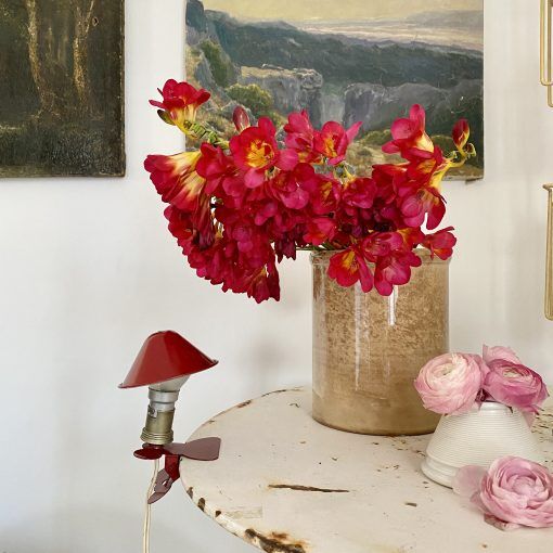 Mushroom walking lamp