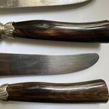 Set de 12 couteaux anciens Fontenille Pataud